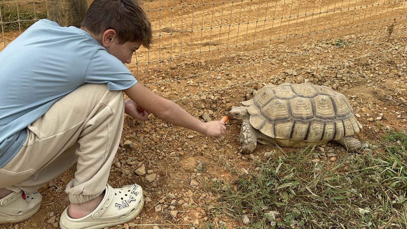 Exotic Animal Encounters