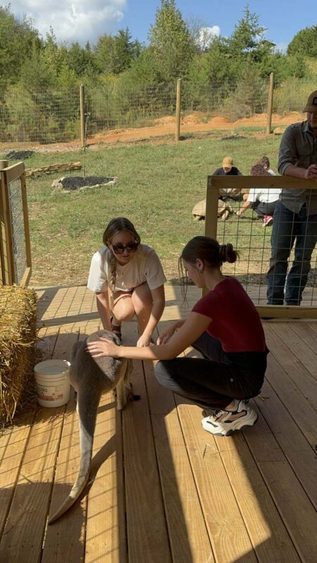 Jayell Ranch Exotic Animal Encounters