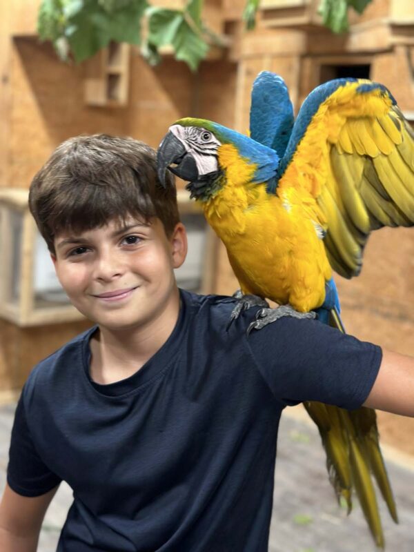 Jayell Ranch Exotic Animal Encounters