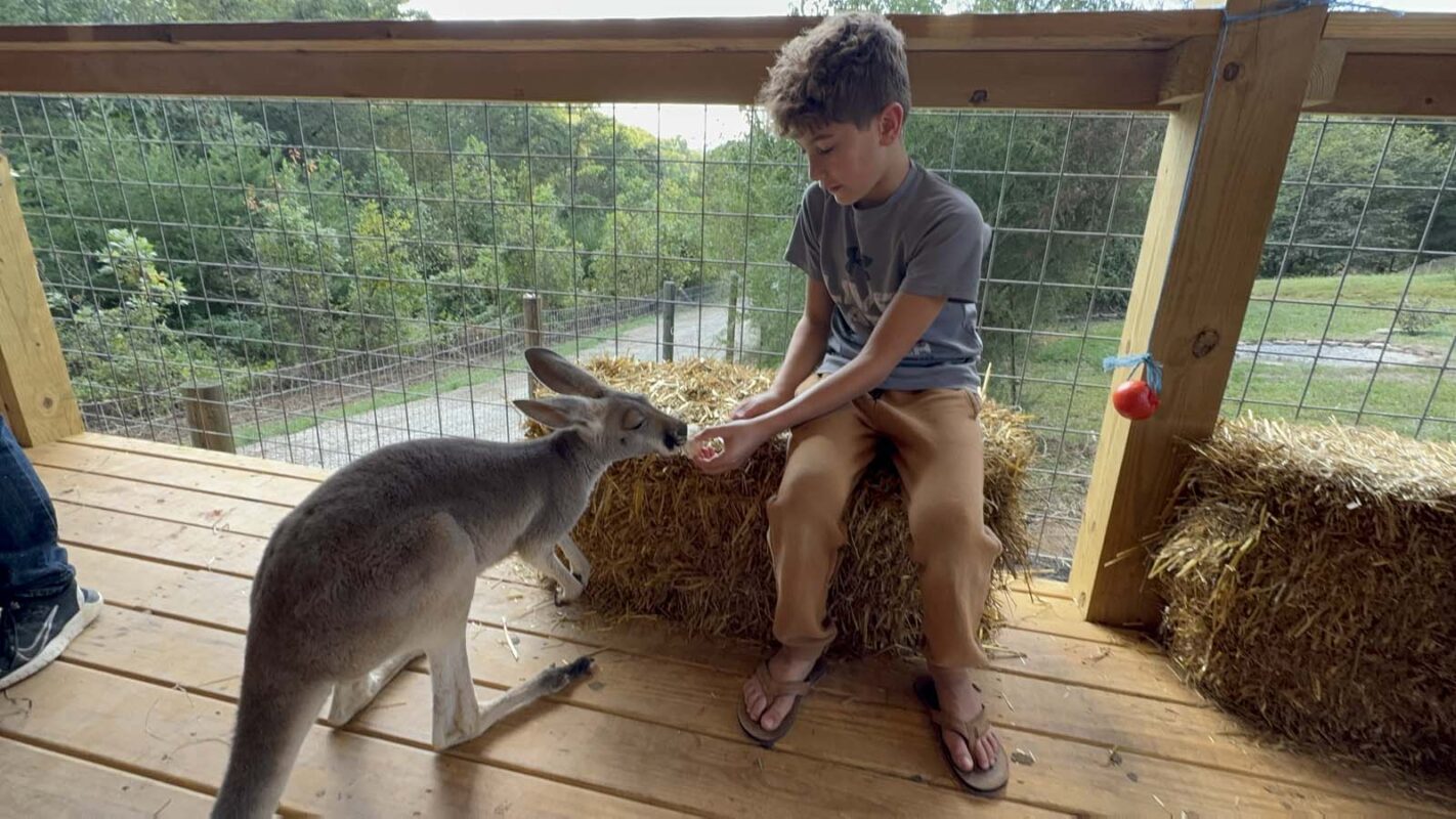 Jayell Ranch Exotic Animal Encounters